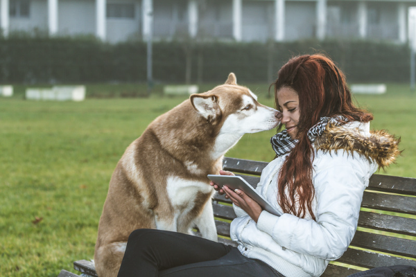 Ayuda, a mi perro (o gato) le huele la boca a alcantarilla