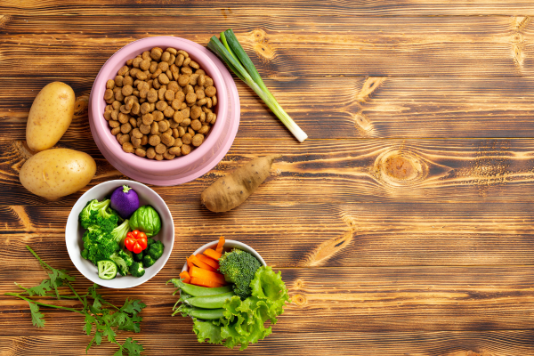 Consejos para cambiar con éxito a una dieta 100% vegetal en perros y gatos