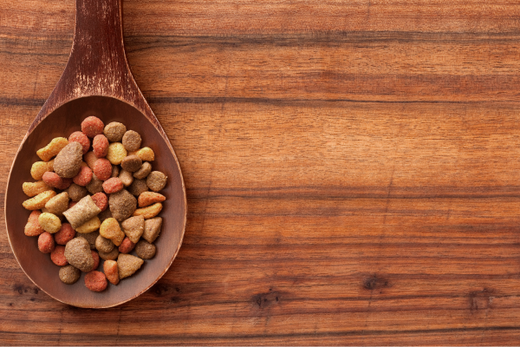 Cómo elegir el mejor pienso para tu perro o gato