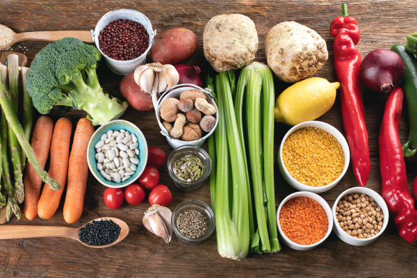 Alimentación vegetal vs convencional para perros y gatos