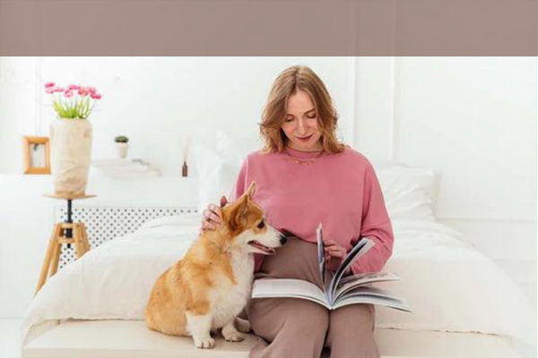 ¿Cómo hacer la transición de mi perro a la comida vegana?