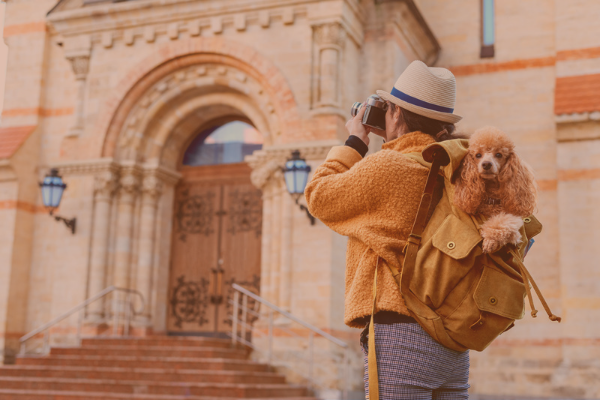 Cómo viajar con tu perro sin perder el aliento