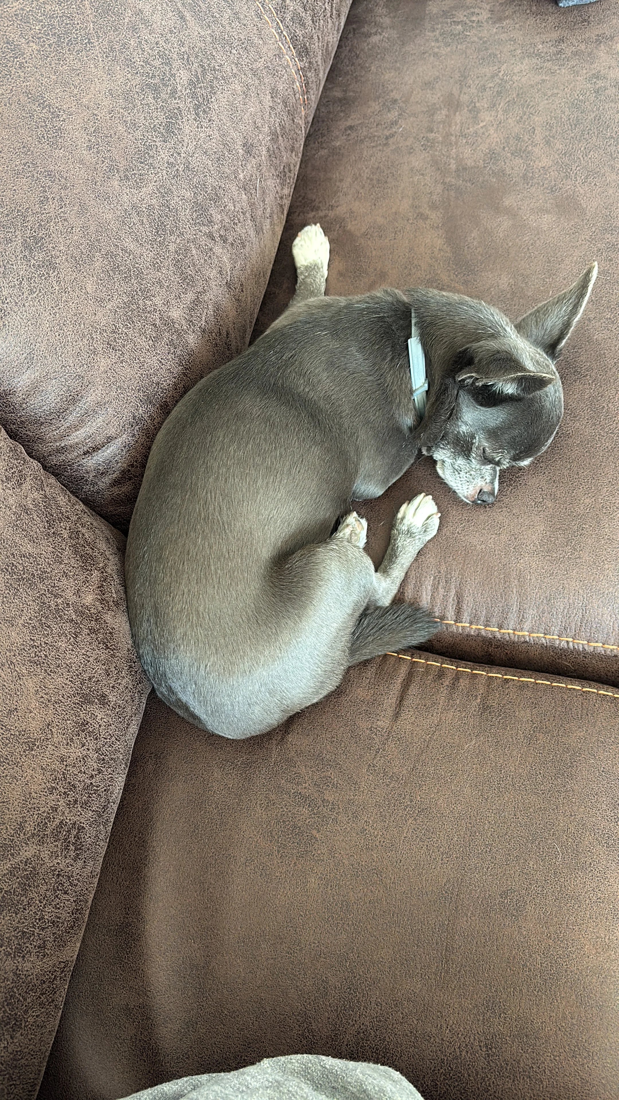 2381F390-B74A-4ECE-AC58-7457029AA50B