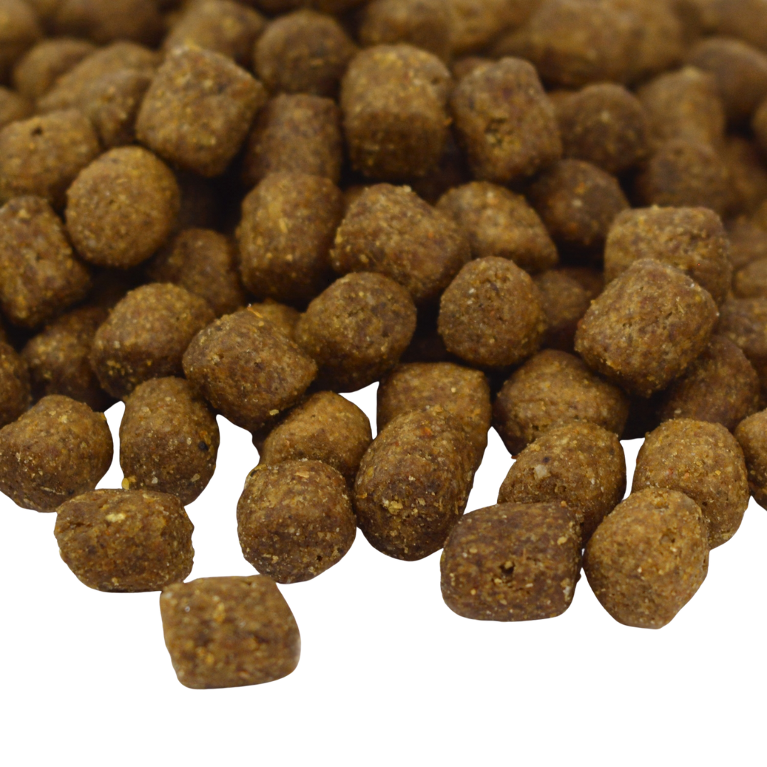 Pienso original Benevo Cachorros, comida para perro