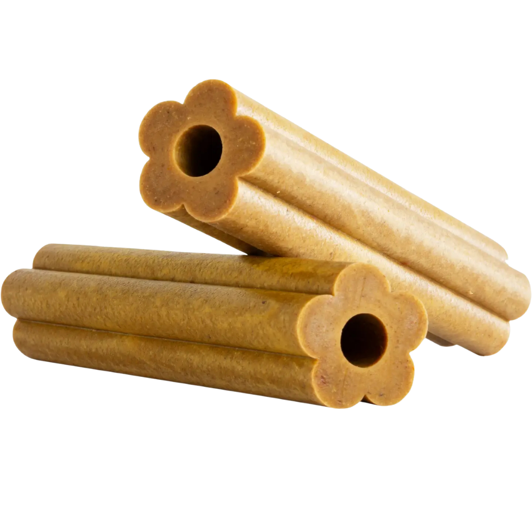 Palitos dentales Jumbo de zanahoria y calabaza para perros Soopa 170g