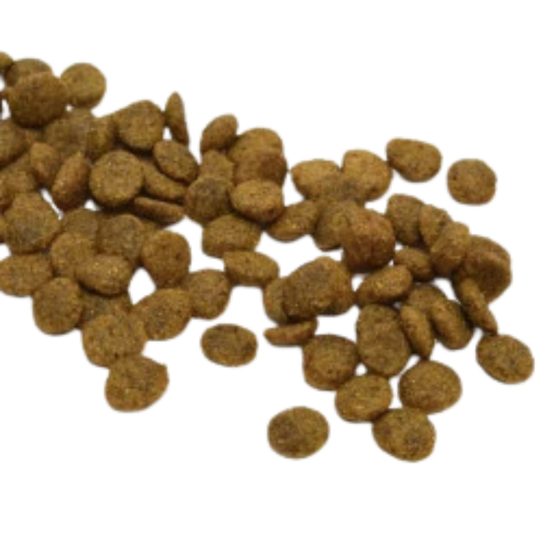 Ami Dog pienso vegetal perro detalle