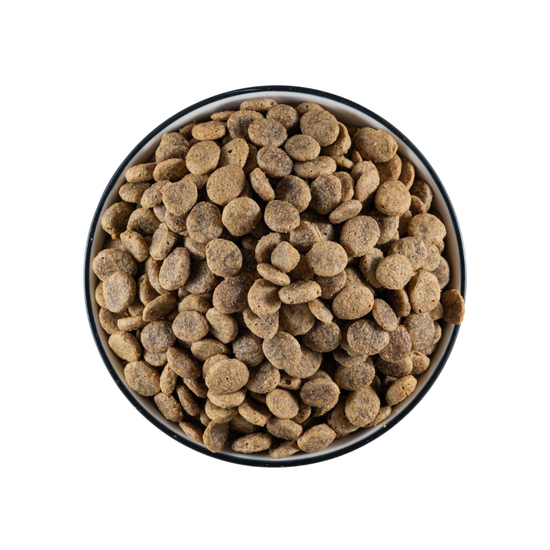 Vegdog Green Crunch pienso vegetal perro detalle