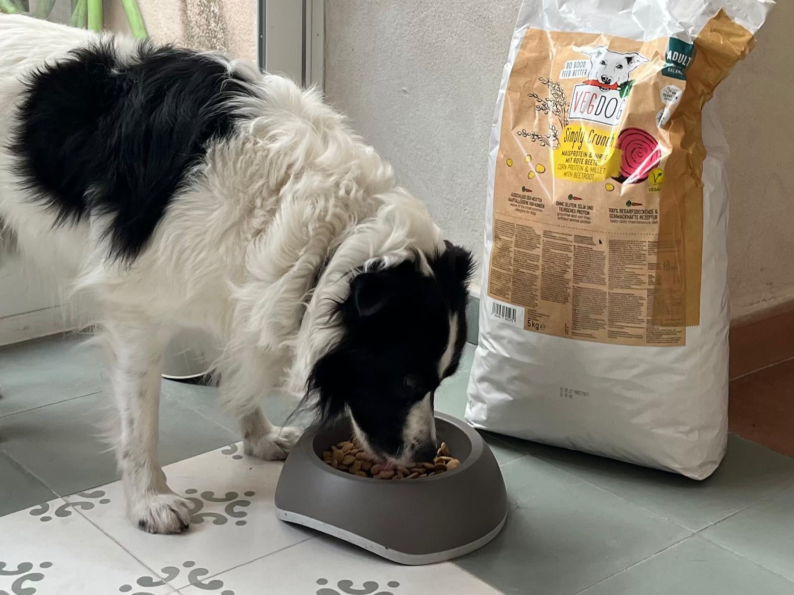 48f39204-9ba5-4b02-9a01-1e765975a1f4