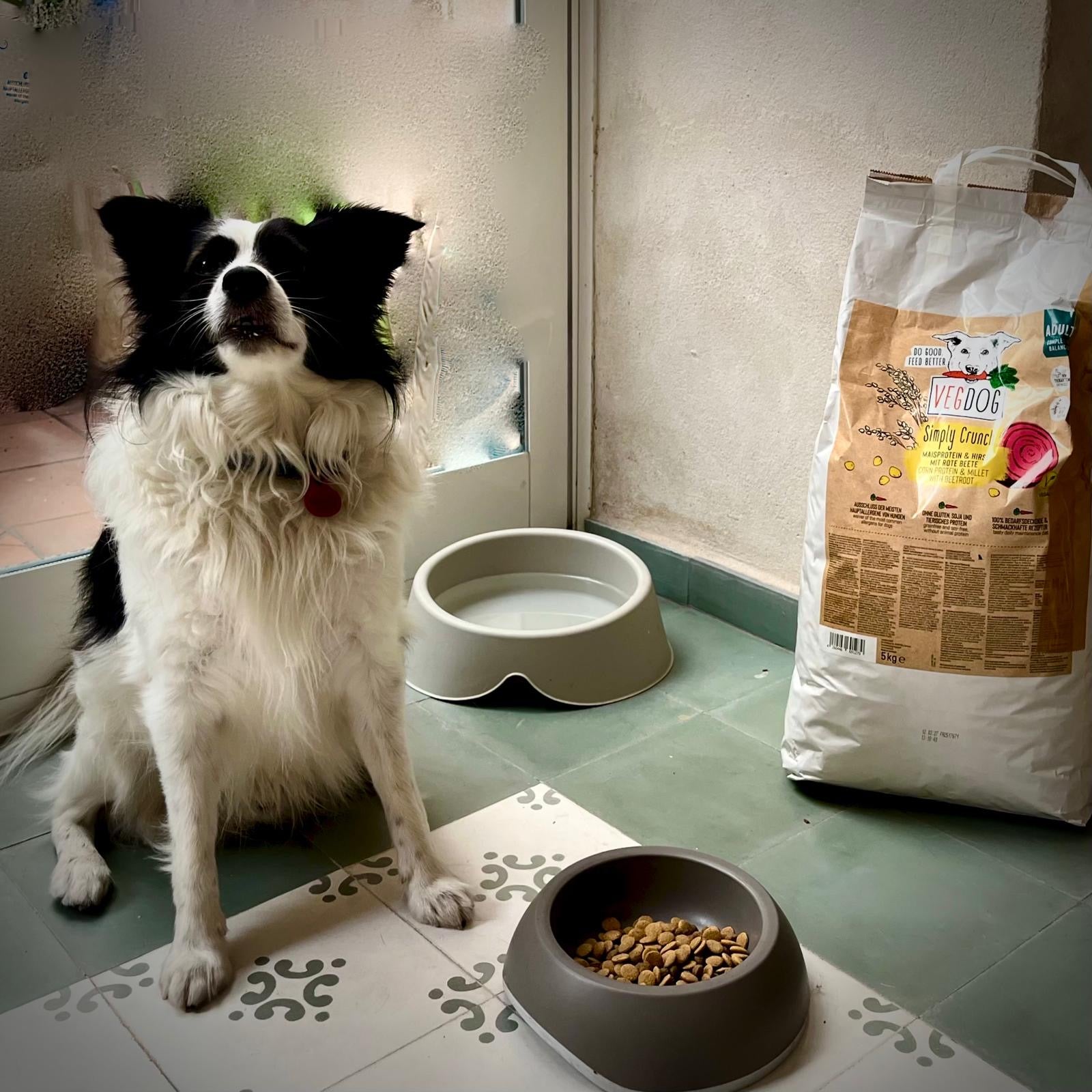 7fe5a152-345b-41f8-8698-e17b9890d0e3