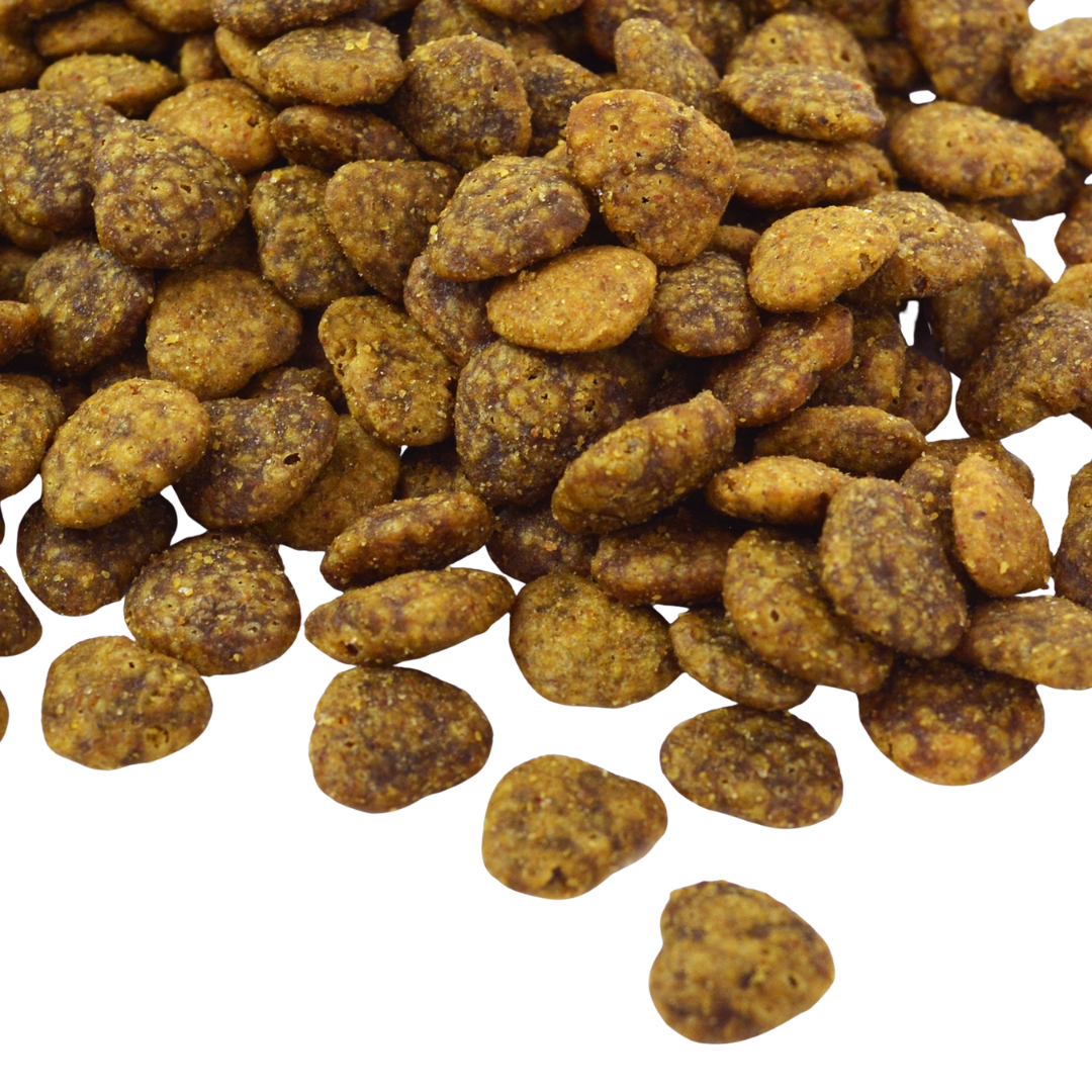 Benevo Cat, comida completa para gato