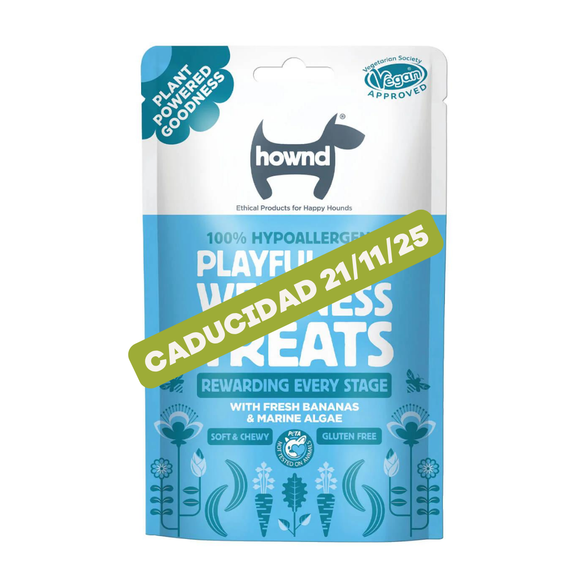 Galletas Playful Pup Hownd 100g