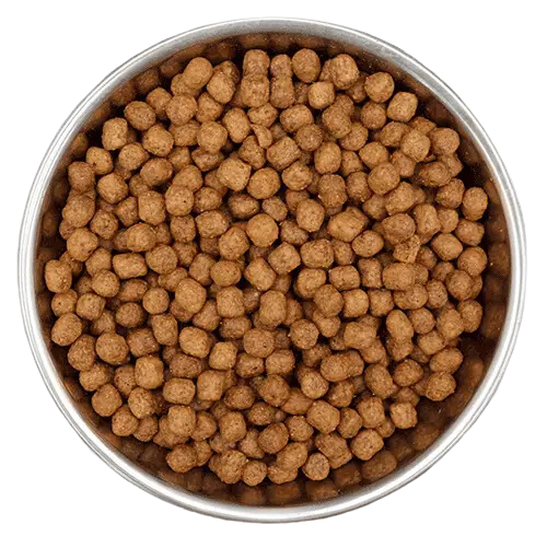 Benevo pienso vegetal cachorro perro detalle