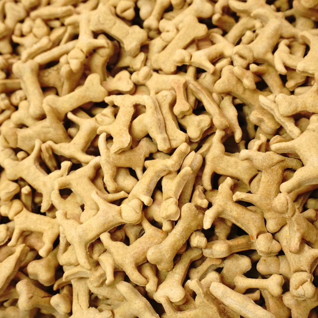 Hundsfutter galletas zanahoria espelta perro