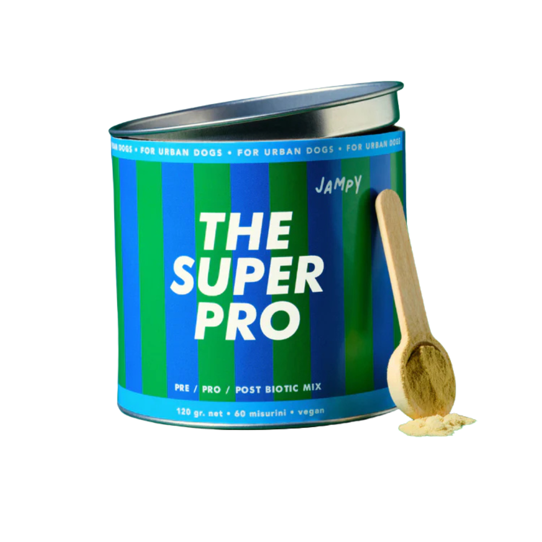 Jampy suplemento probiótico perro