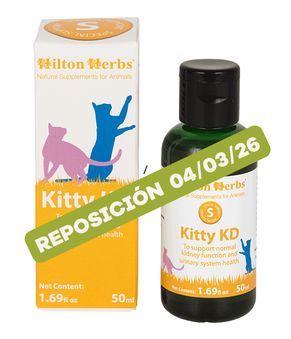 Kitty KD suplemento de hierbas para unos riñones saludables, 50ml