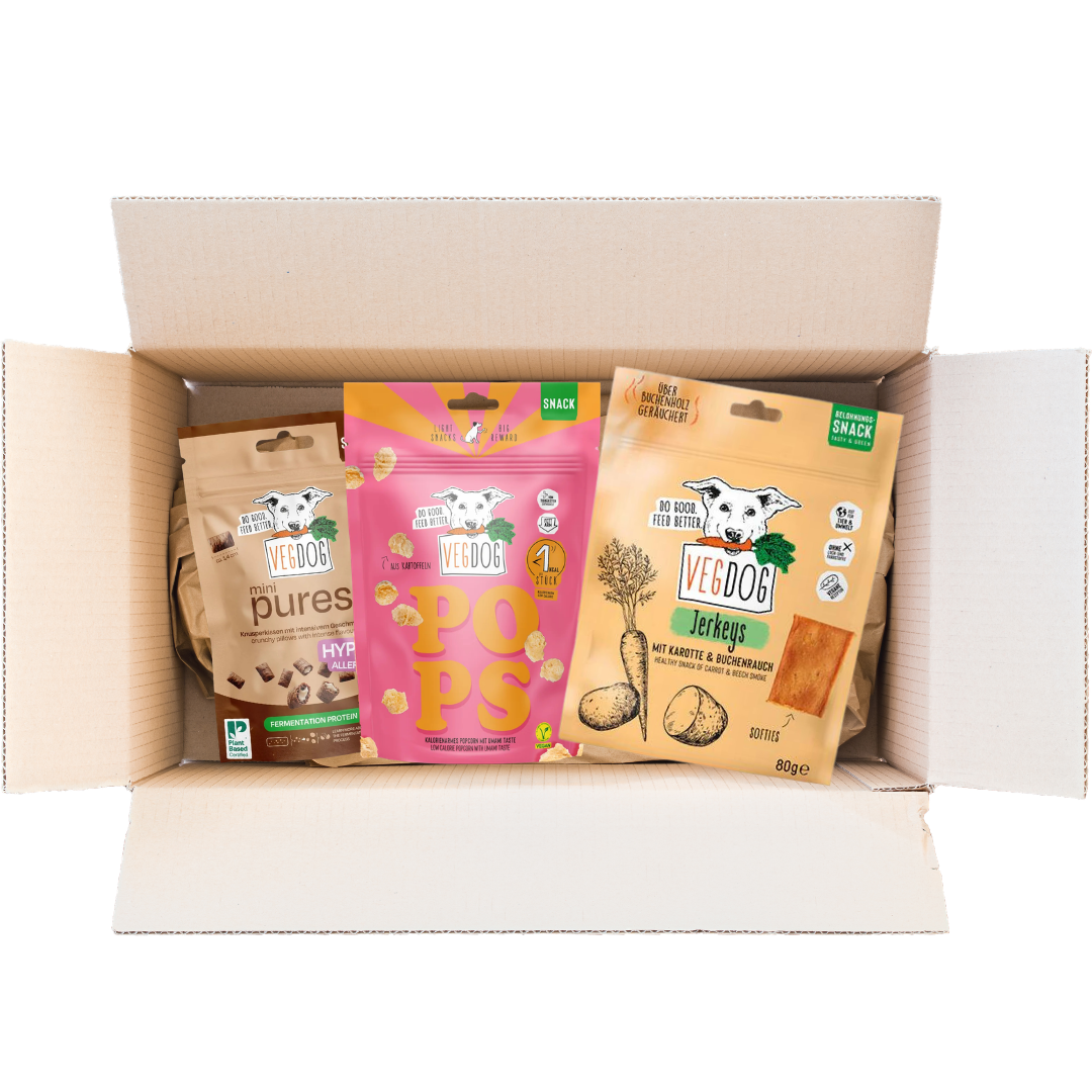 Pack Snacks Entrenamiento para perro