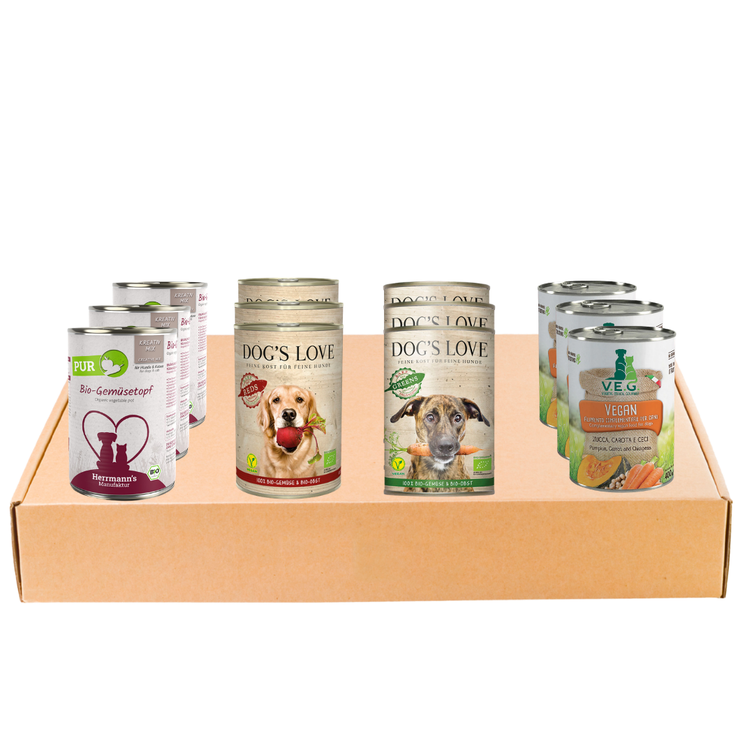 Pack Rentable Mi Caja Complementaria (12 latas)