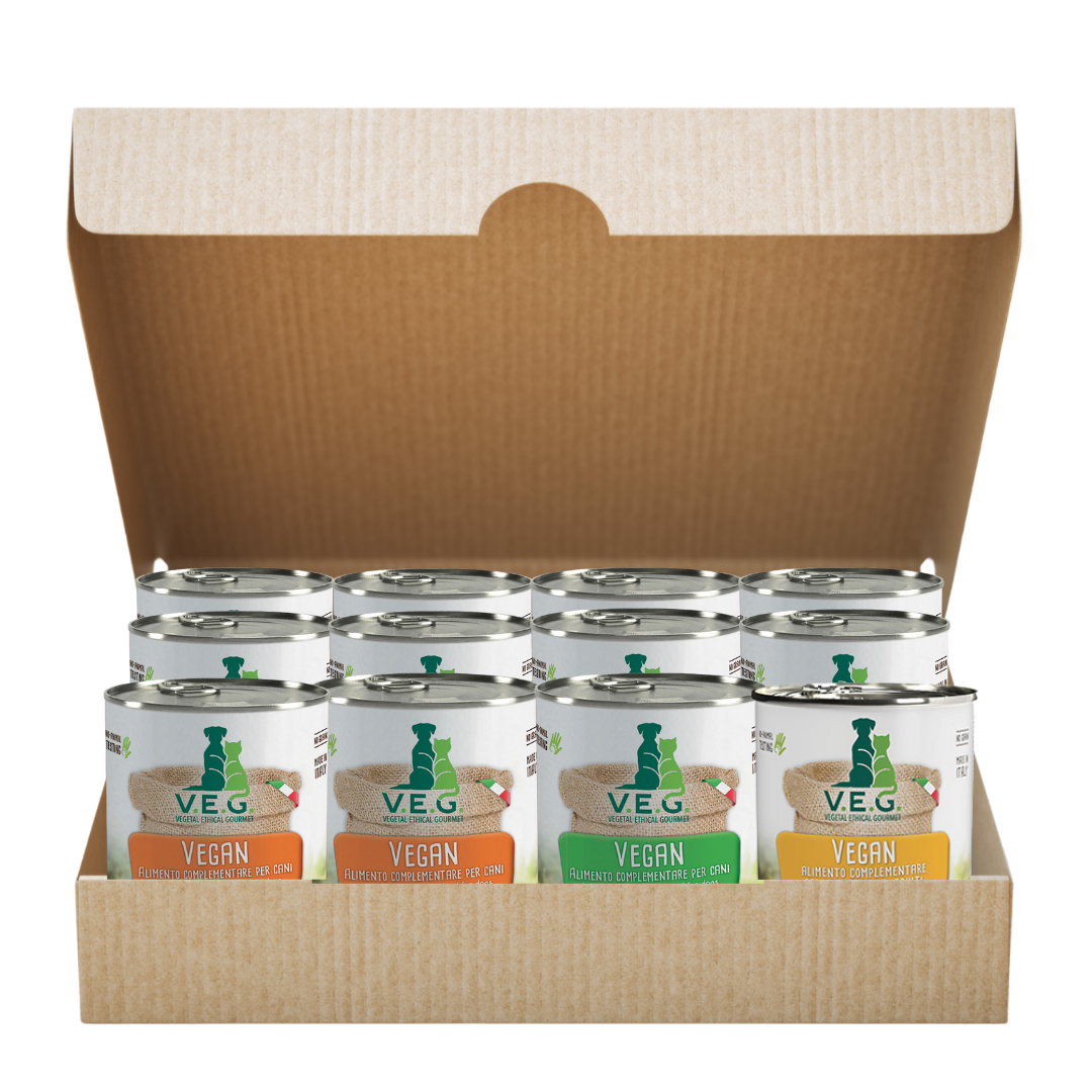 Pack Rentable Mi Caja VEG (12 latas)
