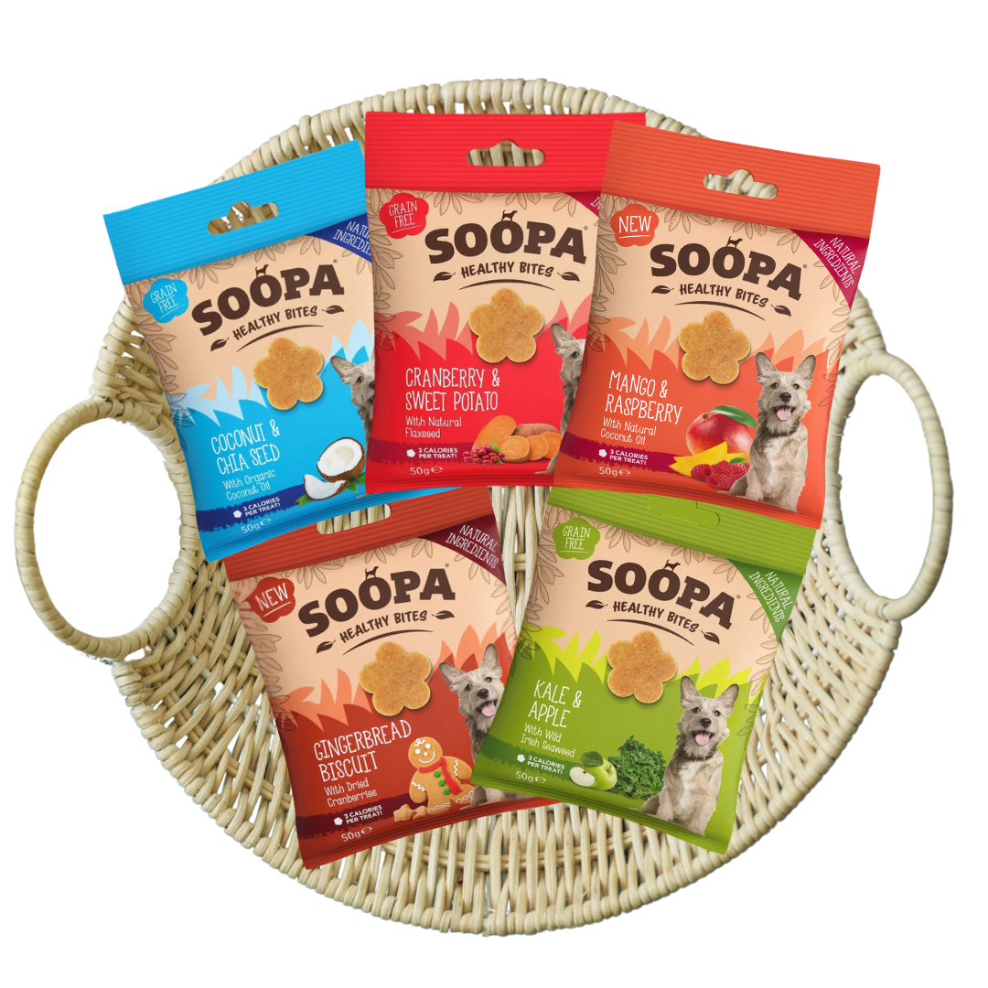 Pack Snacks Explosión de Sabor Soopa