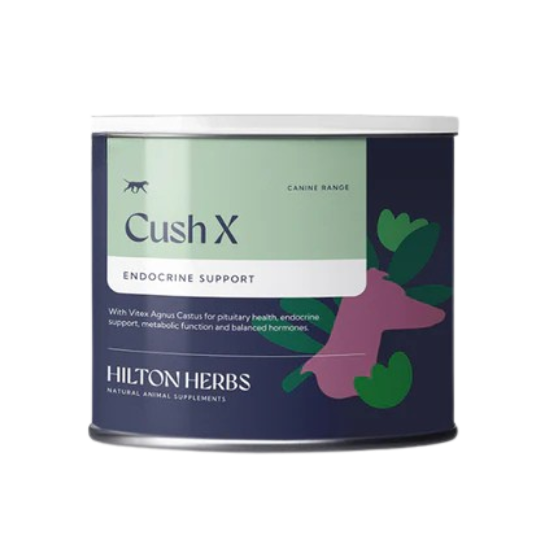 Sistema endocrino Hilton Herbs perro