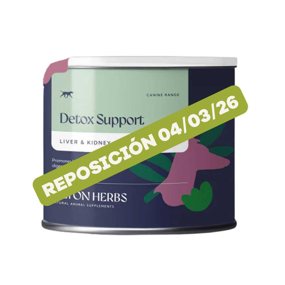 DeTox Support suplemento de hierbas para hígado y riñón, 60g