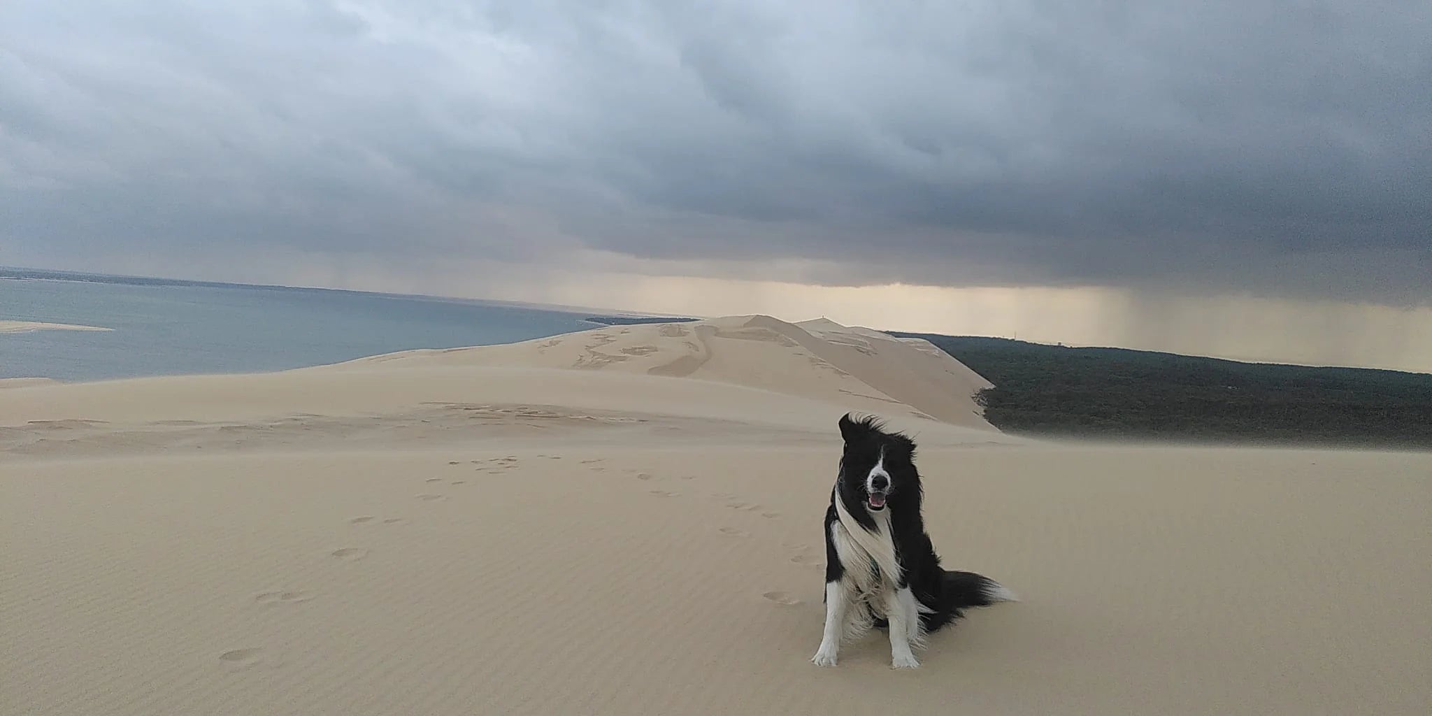 Inti Duna de Pilat