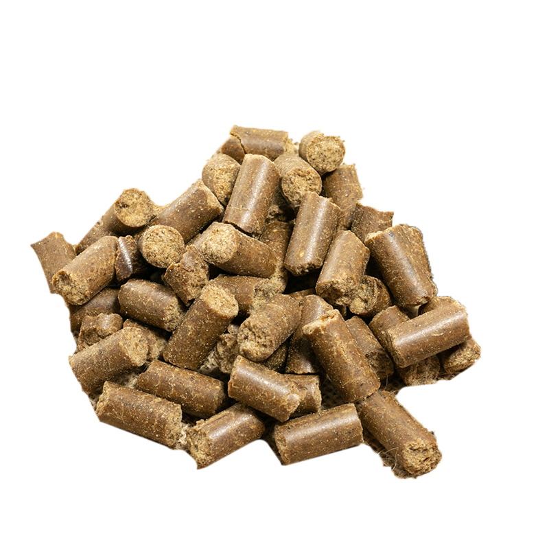 Naturextra pienso vegetal perro detalle