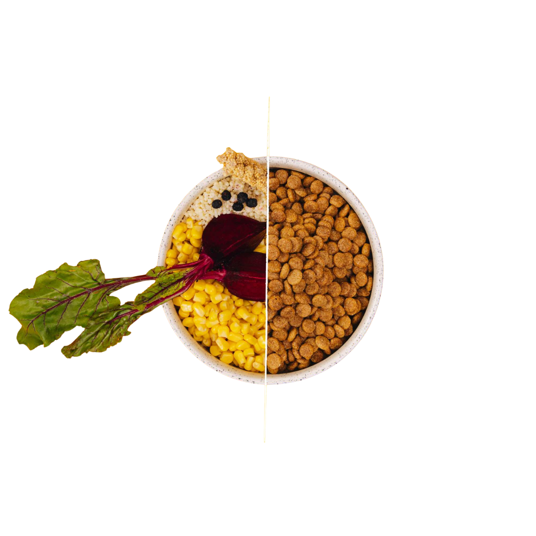 Simply Crunch Vegdog pienso completo para perros