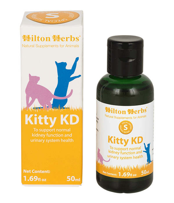 Hilton Herbs Kitty KD suplemento riñones gato