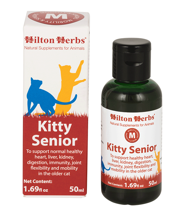 Hilton Herbs Kitty Senior suplemento salud gato